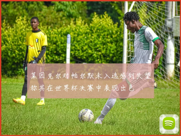 莱因克尔对帕尔默未入选感到失望称其在世界杯决赛中表现出色