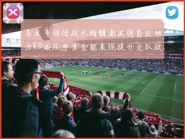 乌度卡领悟战术精髓谢泼德首发助力KD减压申京全能表现提升全队效率